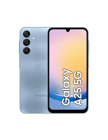 Réparation A25 5G (A256B)