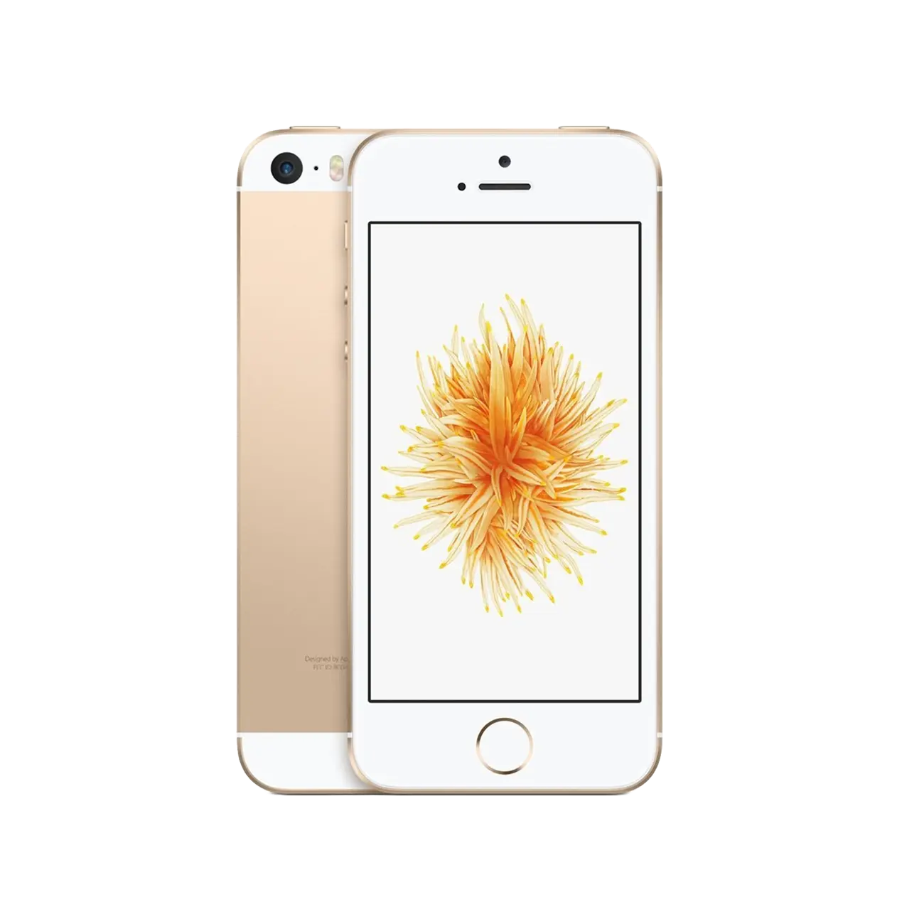 Réparation iPhone SE